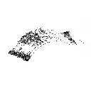 0000000997.042.001-3.webp