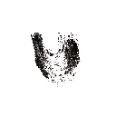 0000000997.044.001-3.webp